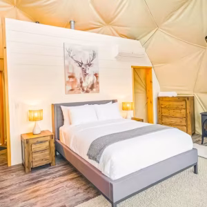 Luxury Clear Geodesic Dome Tent, PVC Tent, for Hotel, Manor, Resort, Forest, Glamping, Half Dome - Image 11